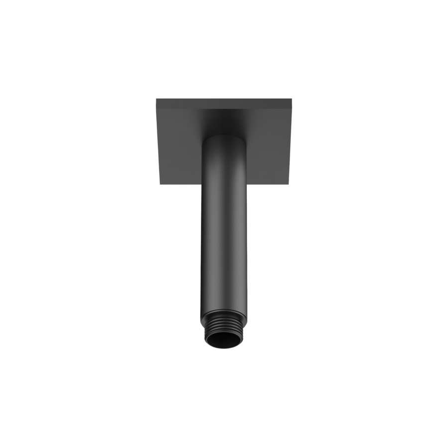 125554 - 26.000.823.176 - SHOWERCULTURE - Brausearm