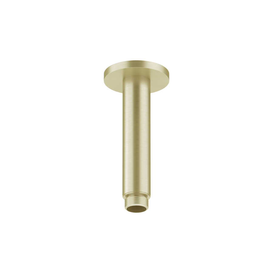 3600013604 - 26.000.820.175 - SHOWERCULTURE - Brausearm